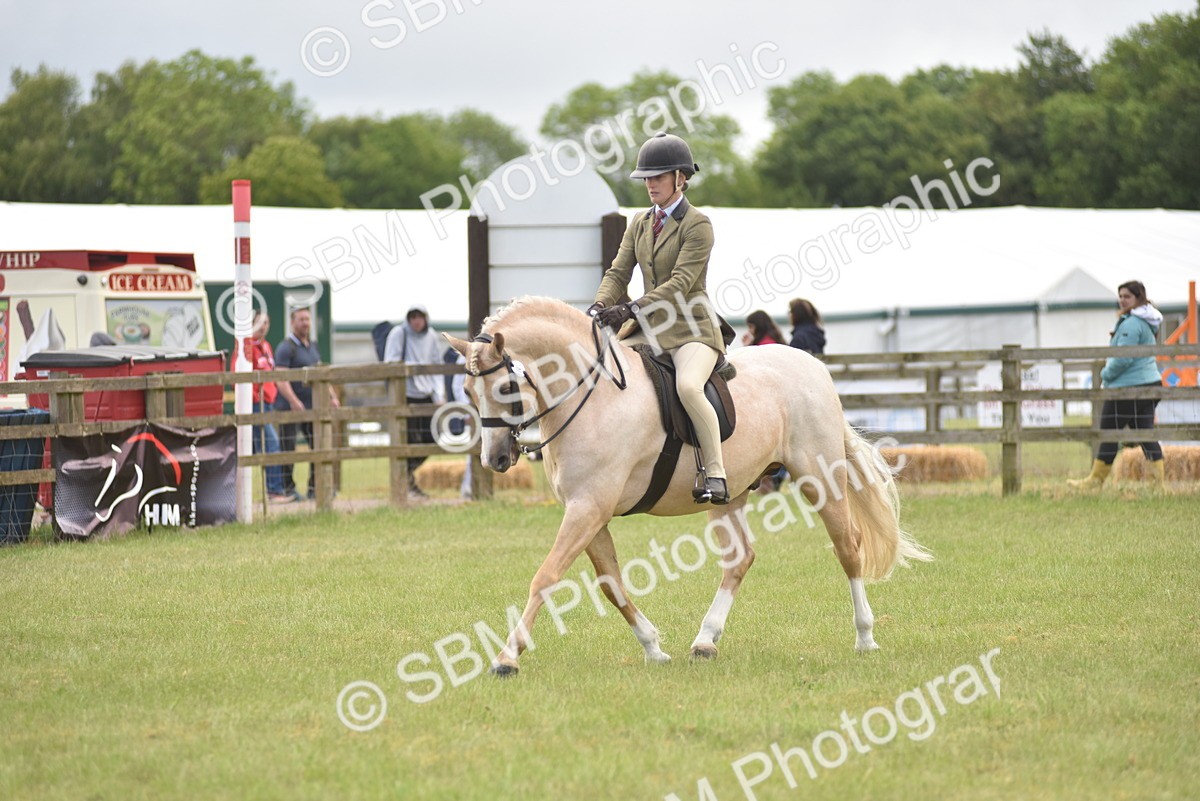 SBM_12133 - Class 110-112 - LIHS BSPS Performance Pones