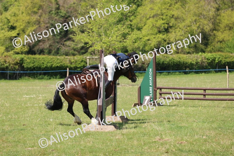 20250427-2563 - Class 20 - Working Hunter Ponies