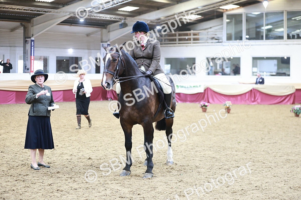 SBM_08848 - Class 12R - Regional Ridden Pre-Vet