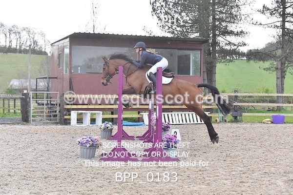 BPP_0183 - CLASS 1 FRI Club/ Unaffiliated 80cms Open