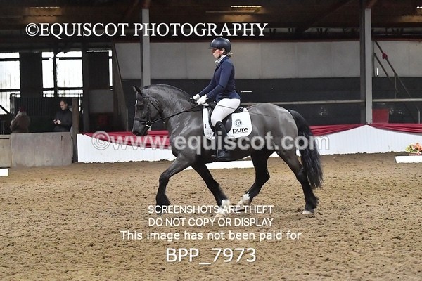 BPP_7973 - ELEM TEST 6