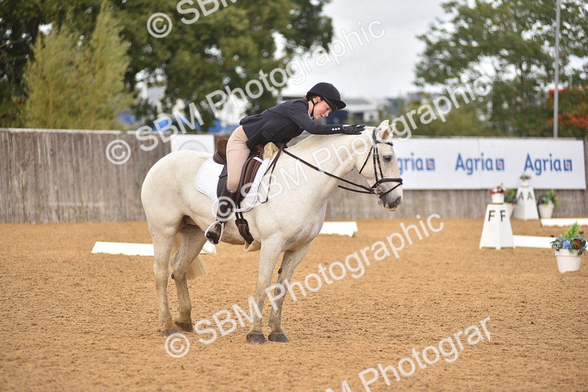 SBM_42334 - D22 - Junior Championship Intro 3