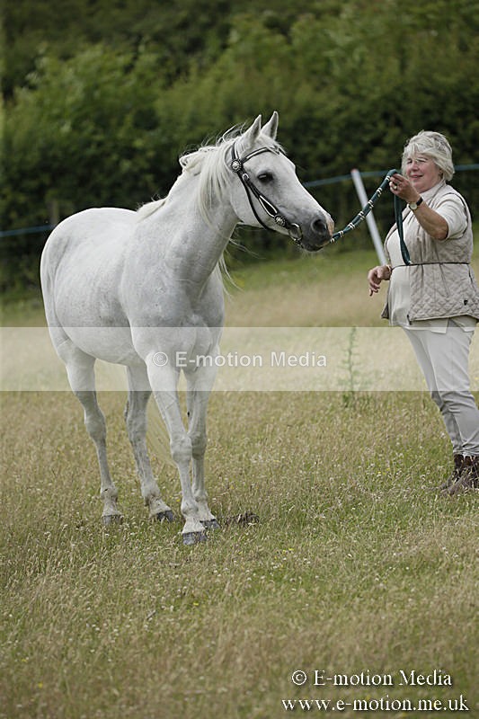 B230619-0591 - Bourne Valley Riding Club Summer Show 23/06/19