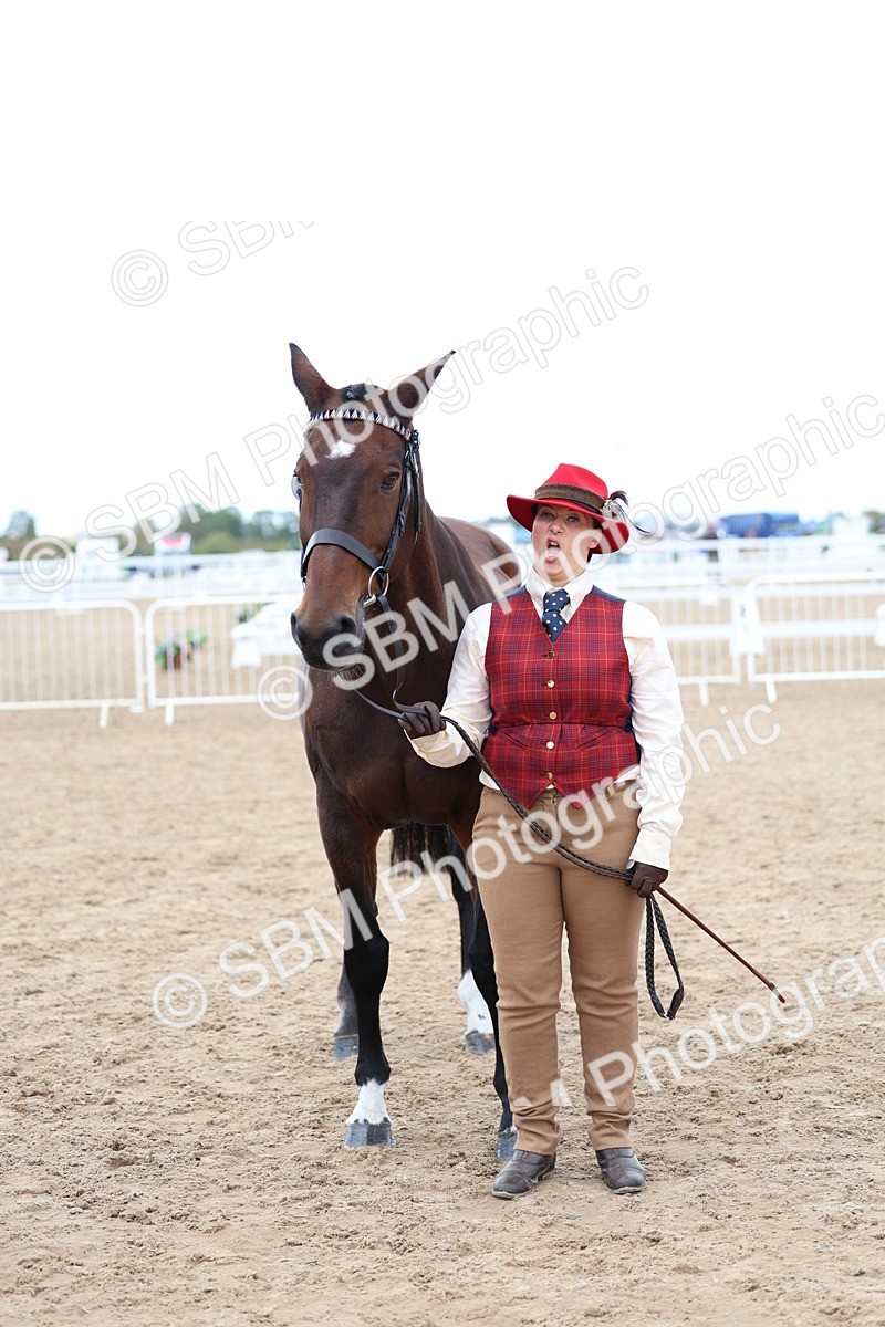 SBM_05063 - Class 27 - IH Competition Horse or Pony