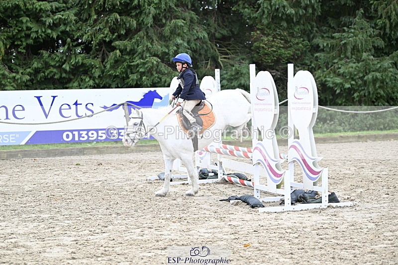 251005A-120812-03620 - Cls 08 Mini 70-75cm