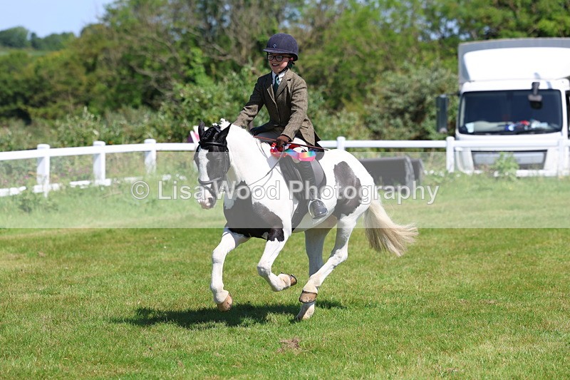 3E7A6793 - Working Hunter Pony Championship