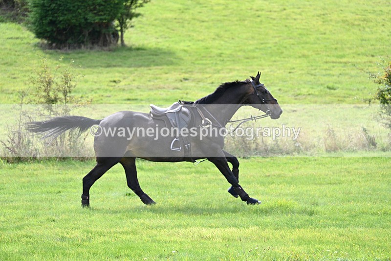 WJ7_7432 - Time 13:21 to 13:29