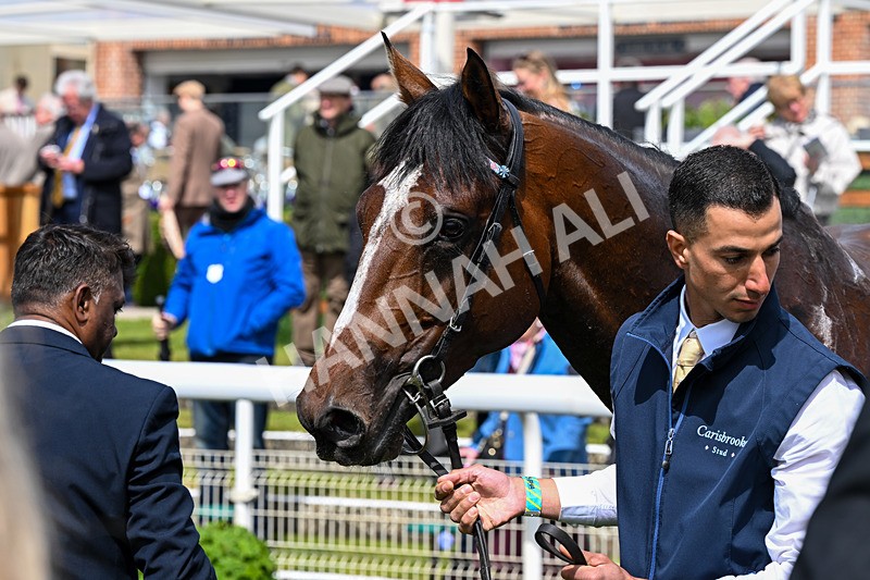 130526-Race 2-Klassleader-2538 - Race 2 2.20pm Sky Bet Race To The Ebor Jorvik Handicap