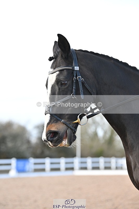 240324A-155915-04687 - Novice 28, 15.33 to 16.15