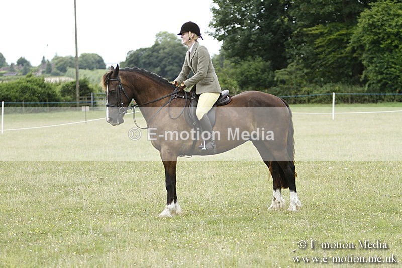 BVR160717-344 - Ring 3 BVRC Show 16/07/17