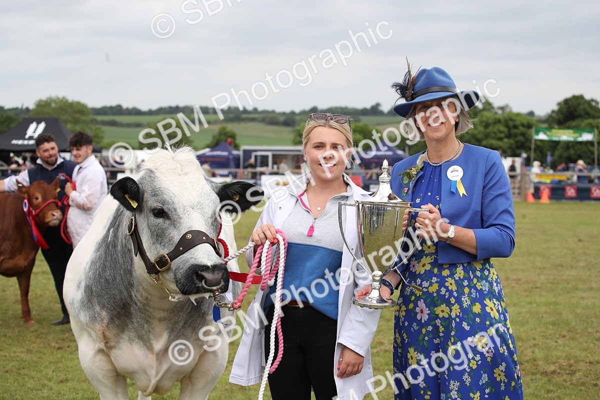 SBM_07929 - Grand Parade