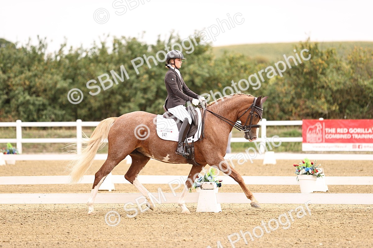 SBM_011526 - Class 1 - Medium 5