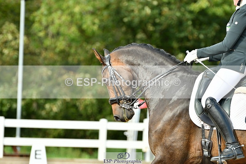 230912A-154734-01648 - Cls 13 Adv Medium 91