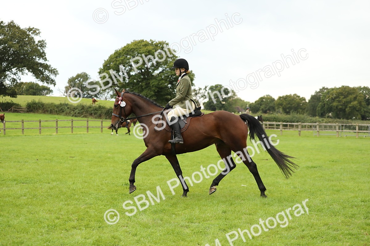 SBM_73696 - S41 - Ridden Equitation (Best Rider)