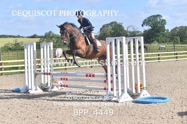 BPP_4449 - CLASS 2  Club/ Unaffiliated 80cms Open