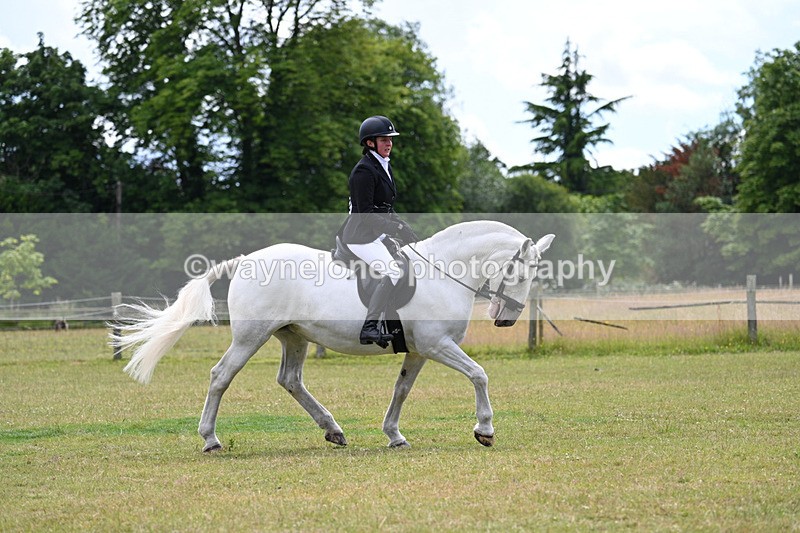 WJ7_9451 - Class 8 Ridden Veterans