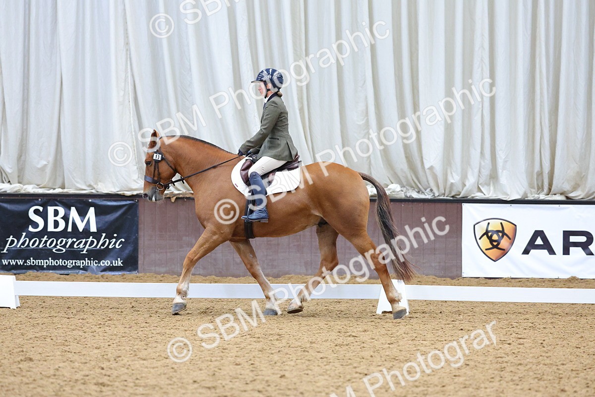 SBM_001944 - Class 5 - Novice 3