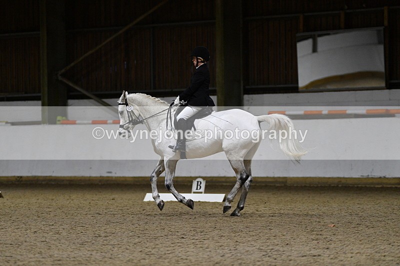 WJ5_8803 - Class 5 Novice Test 3