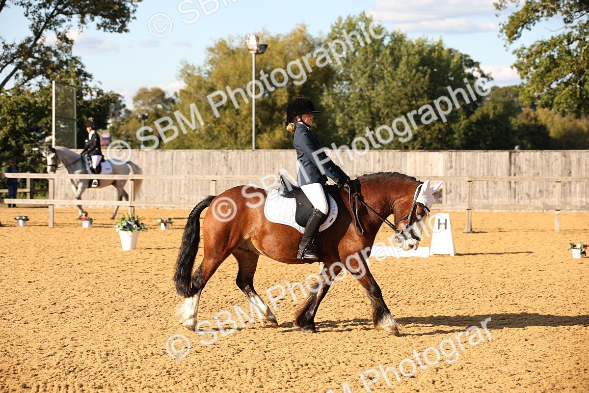 SBM_28339 - D11 - Small Tour Championship - Prelim 13