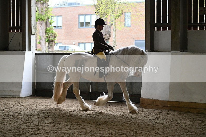 WJ7_3771 - Class 17 Ridden Cob