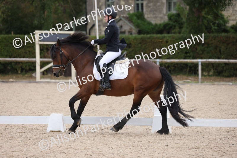 20250820-1089 - Class 17 - Elementary 4