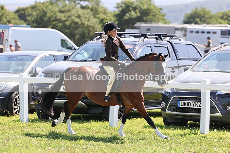 IMG_2023 - Class 34: Show Hunter Pony 153cm and under