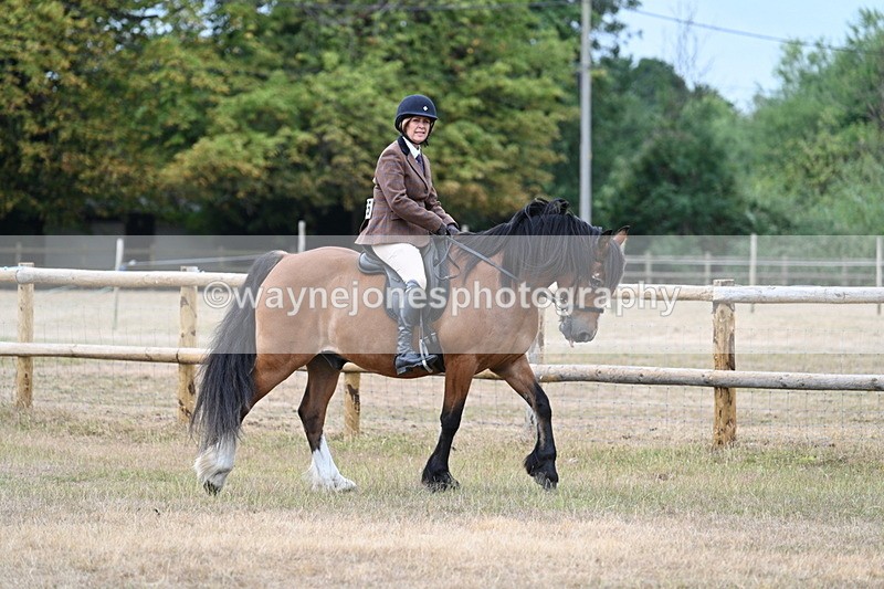 WJ7_0651 - Class 6 Ridden Mountain and Moorland