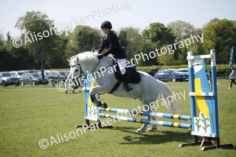20250427-2193 - Class 13 - Novice Jumping 60cm