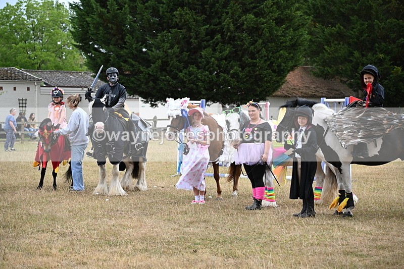 WJ6_9213 - Class 11 Fancy Dress