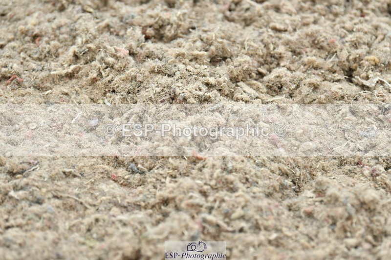 230611A-121537-05636 - Cls 26 Discovery 2nd R Jump Off's and Presentations