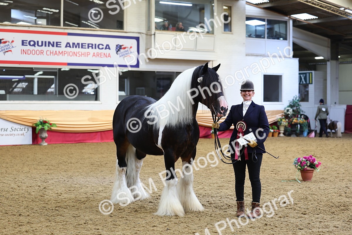 SBM_23019 - Class 903 - Supreme Final - IH Pre Vet