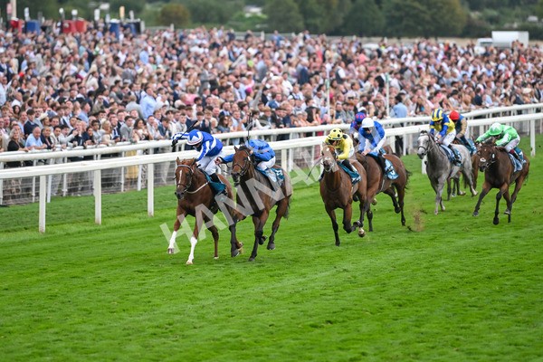 230825-Race 6-Revival Power-0808 - Race 6 4.45pm Julia Graves Roses Stakes
