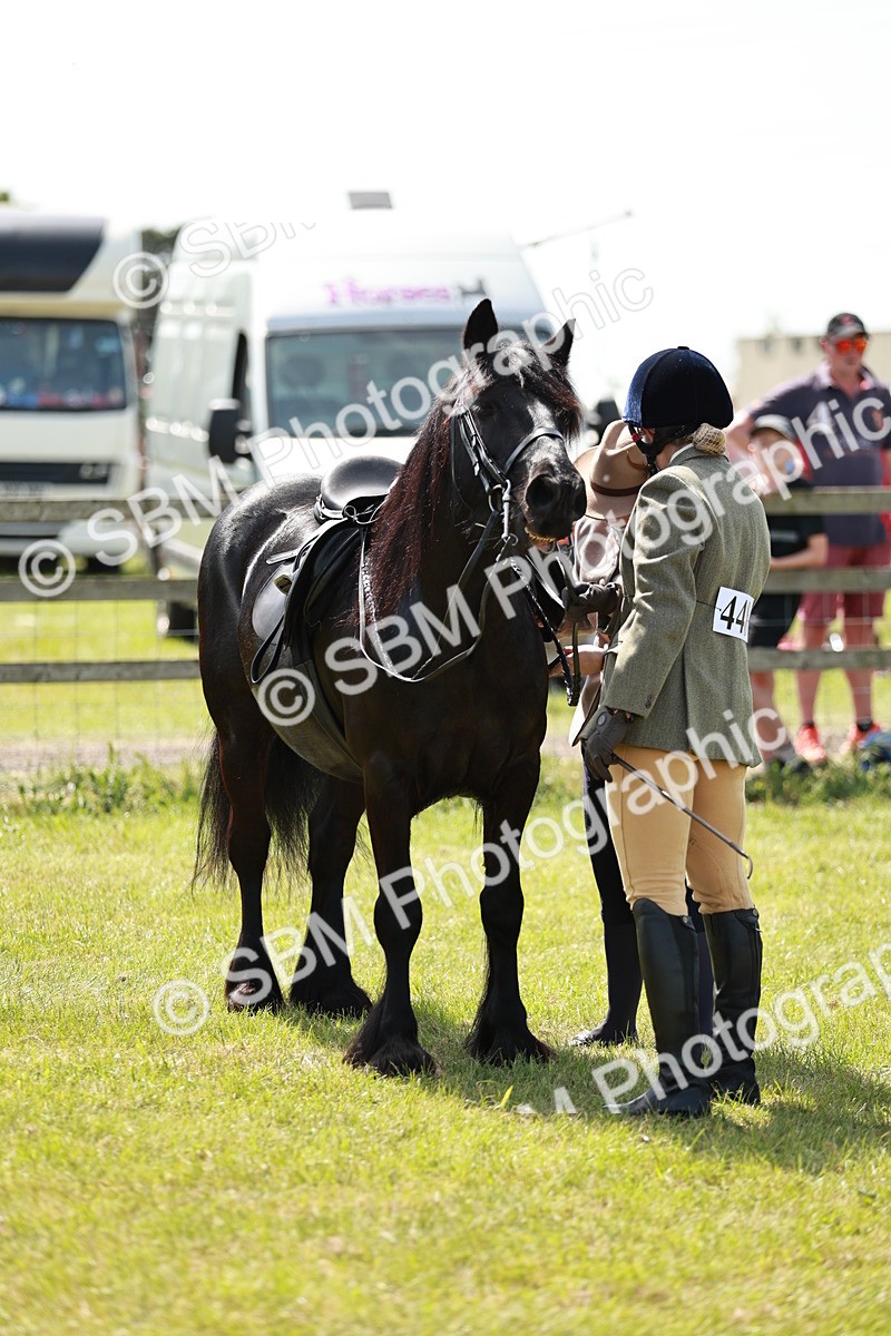 SBM_07194 - Class 26-30 - Mountain and Moorland Ridden