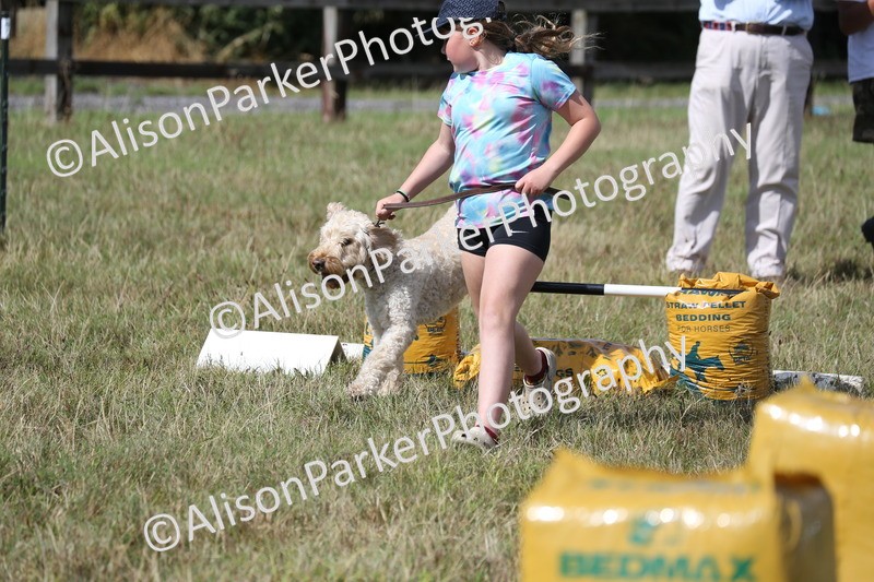 20260906-3434 - Class 34 - Dog Agility