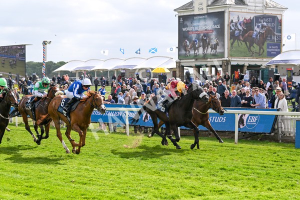 150525-Tropical Storm-4891 - Race 5 4.18pm British Stallion Studs EBF Westow Stakes