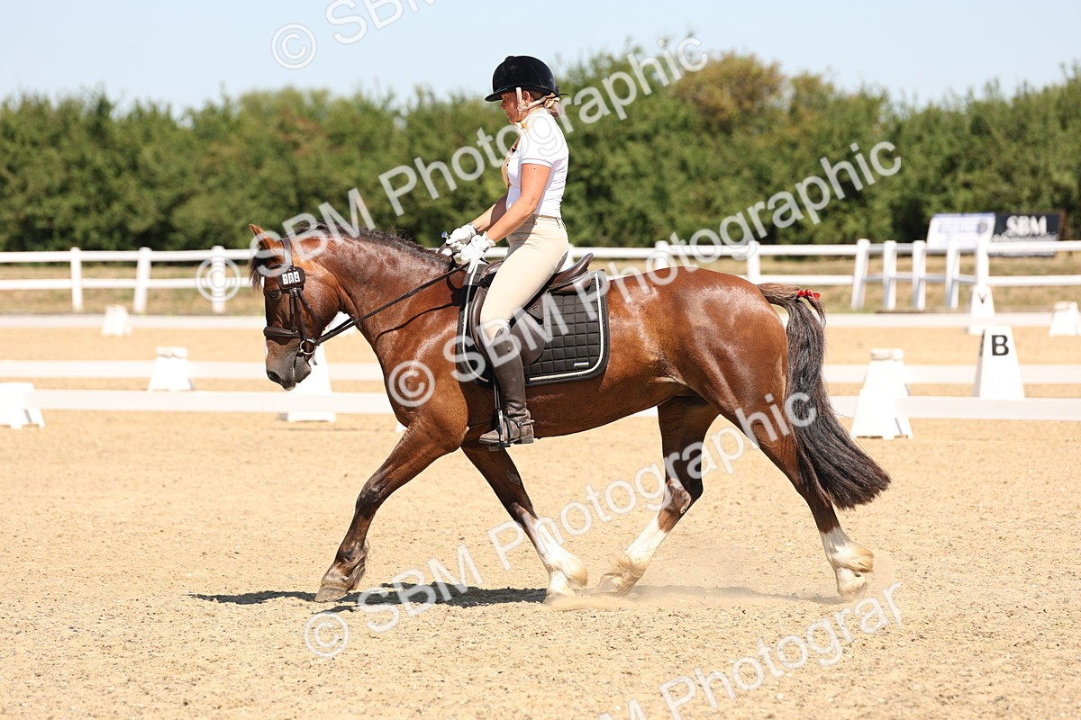 SBM_001307 - Intro 2