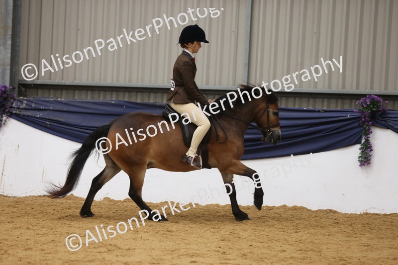 20260913-0618 - Class 126 - Novice Ridden
