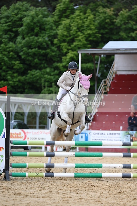 3E7A6273 - Class 4: Senior British Novice/90cm open