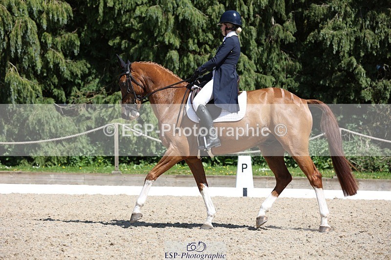 230526-150850-06642 - 378-CLASS_SPEC-Susie_Eddis-WEDTrotUp+DR