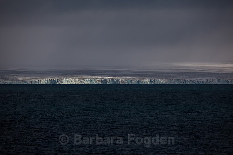 Kvitøya 8442 - Trip with MS Expedition August 2016