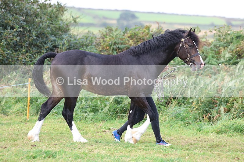 3E7A4037 - Class 15: Two Year Olds