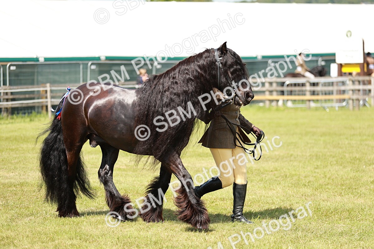 SBM_07169 - Class 26-30 - Mountain and Moorland Ridden