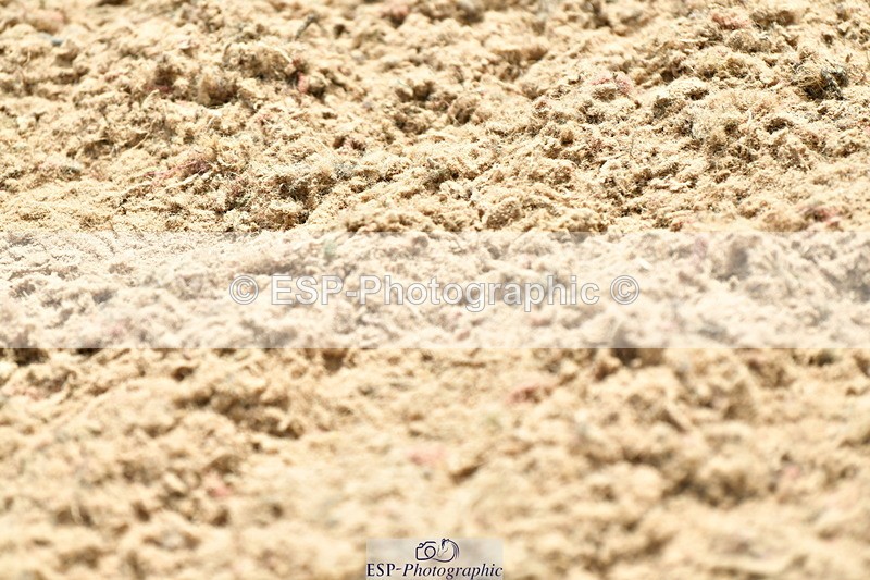 230721A-131446-06505 - Cls 14, 1 Star Bronze 1.10m