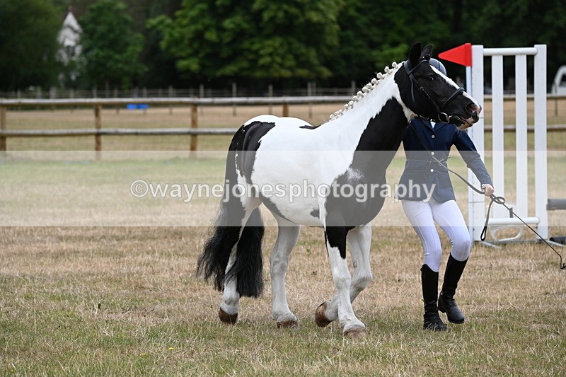 WJ6_4399 - Class 10 Coloured In-hand