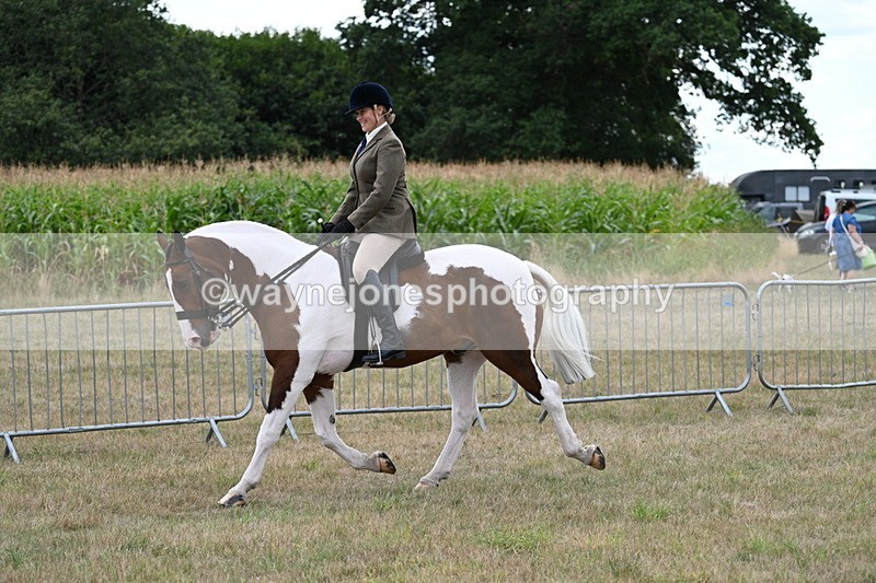 WJ7_5007 - Class 12 Ridden Cob