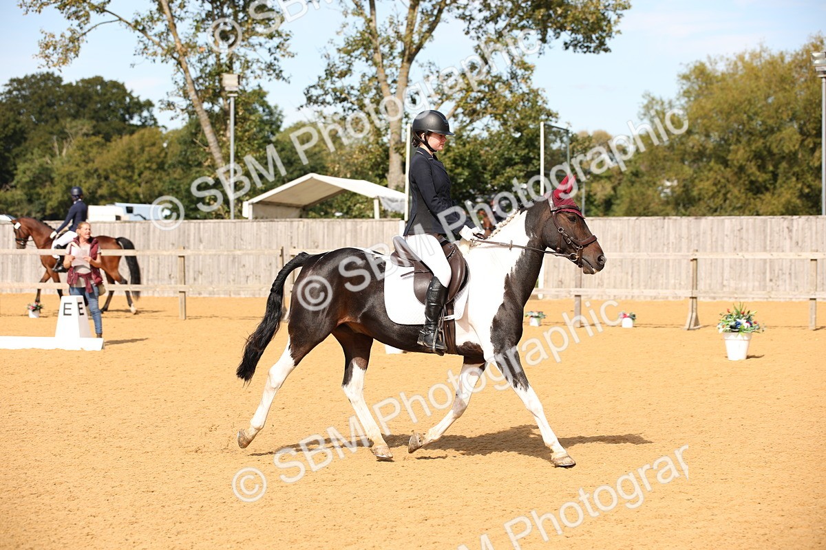 SBM_24103 - D5 - Small Tour Championship - Intro C