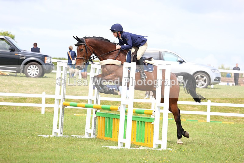 3E7A7405 - Class 13: Senior British Novice/90cm open