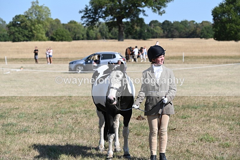 WJ6_7584 - Class 34 Judges Choice