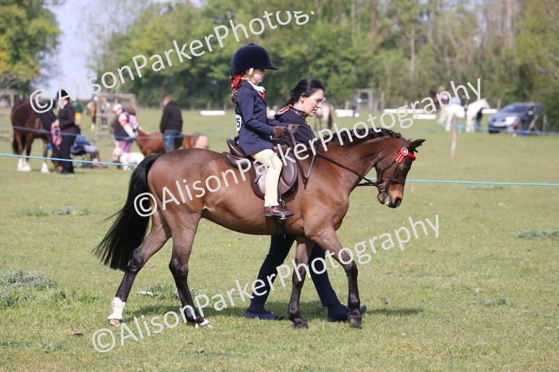 20260426-0572 - Class 31 - Leading Rein