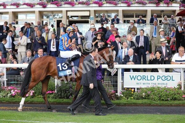 yr19082022r6-9 - Race 6 4.45 pm British Stallion Studs EBF Convivial Maiden Stakes